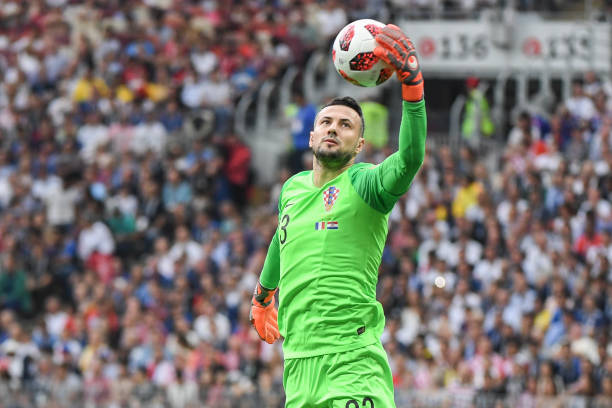 一支近年来 一支近年来